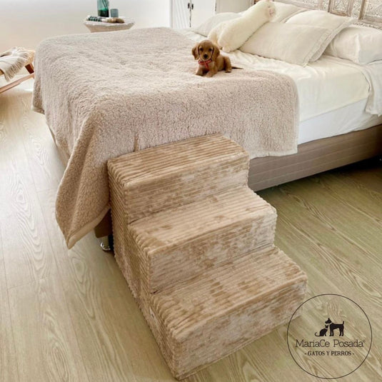 Stairs three steps wide