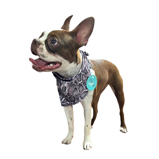 Pañoletas sublimadas