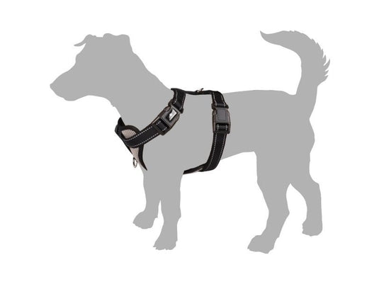 Milou dog harness
