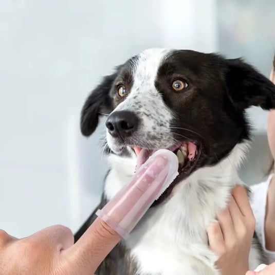 Cepillo de dientes tipo dedal x unidad para perros y gatos