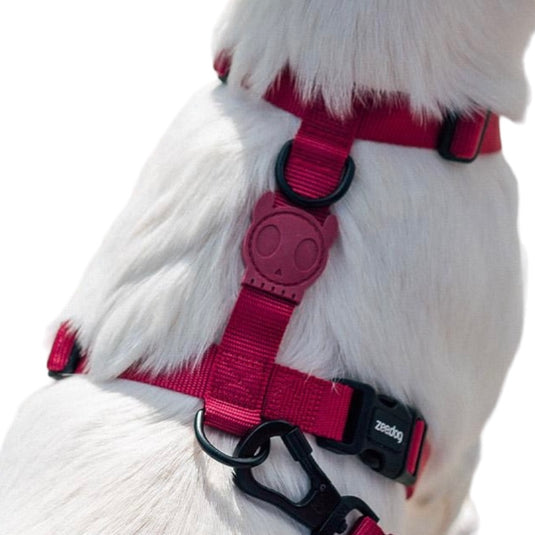 H-Harness for Dogs (Zeedog)