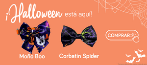 Halloween está aquí