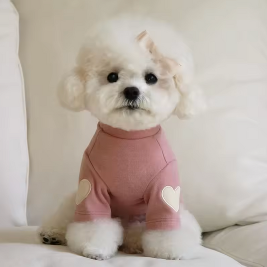 Buzo Corazón