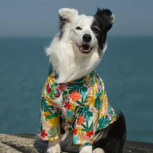 Camisa Hawaiiana