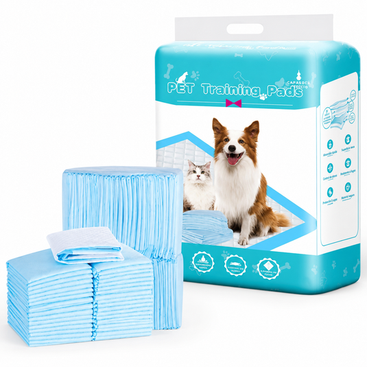 Tapete absorbente