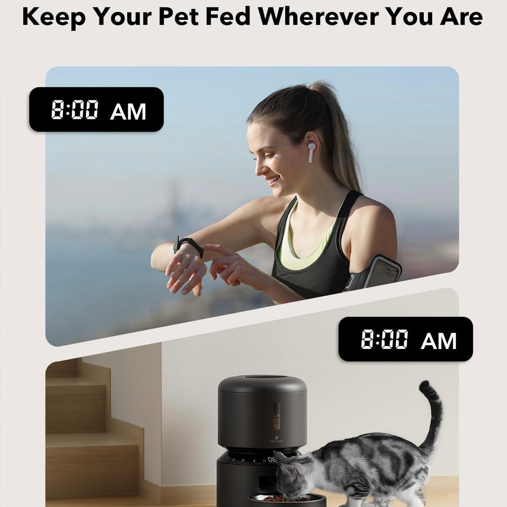PETLIBRO - Comedero automático para gatos – MariaCe Posada Pets -  Accesorios para gatos y perros