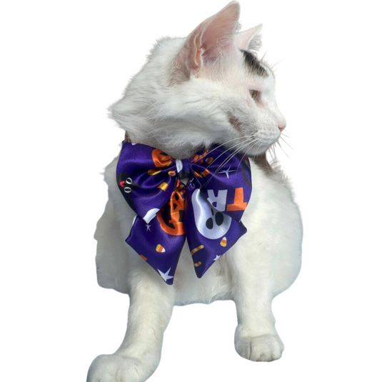 Collar Moño Boo Halloween para perro y gato - Unisex