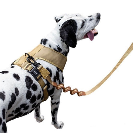Cuerdas Ruff para perro (Zeedog)