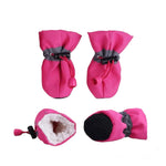 Fucsia