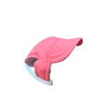 Salmón