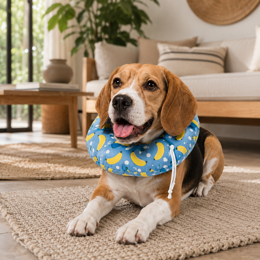Dona Postquirúrgica para Perros y Gatos | Alternativa al Collar Isabelino