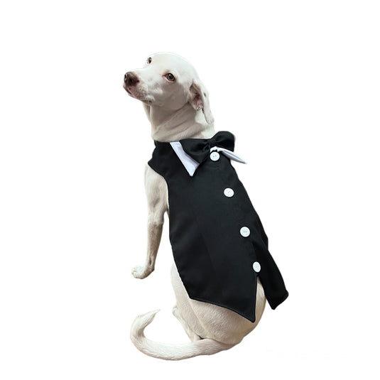 Tailcoat for party