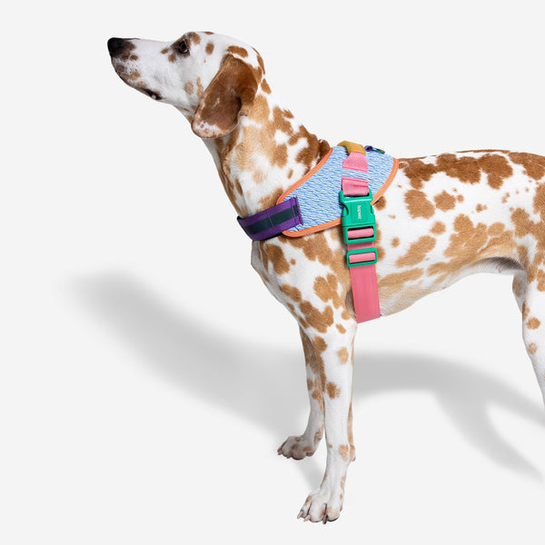 Pechera para perros grandes