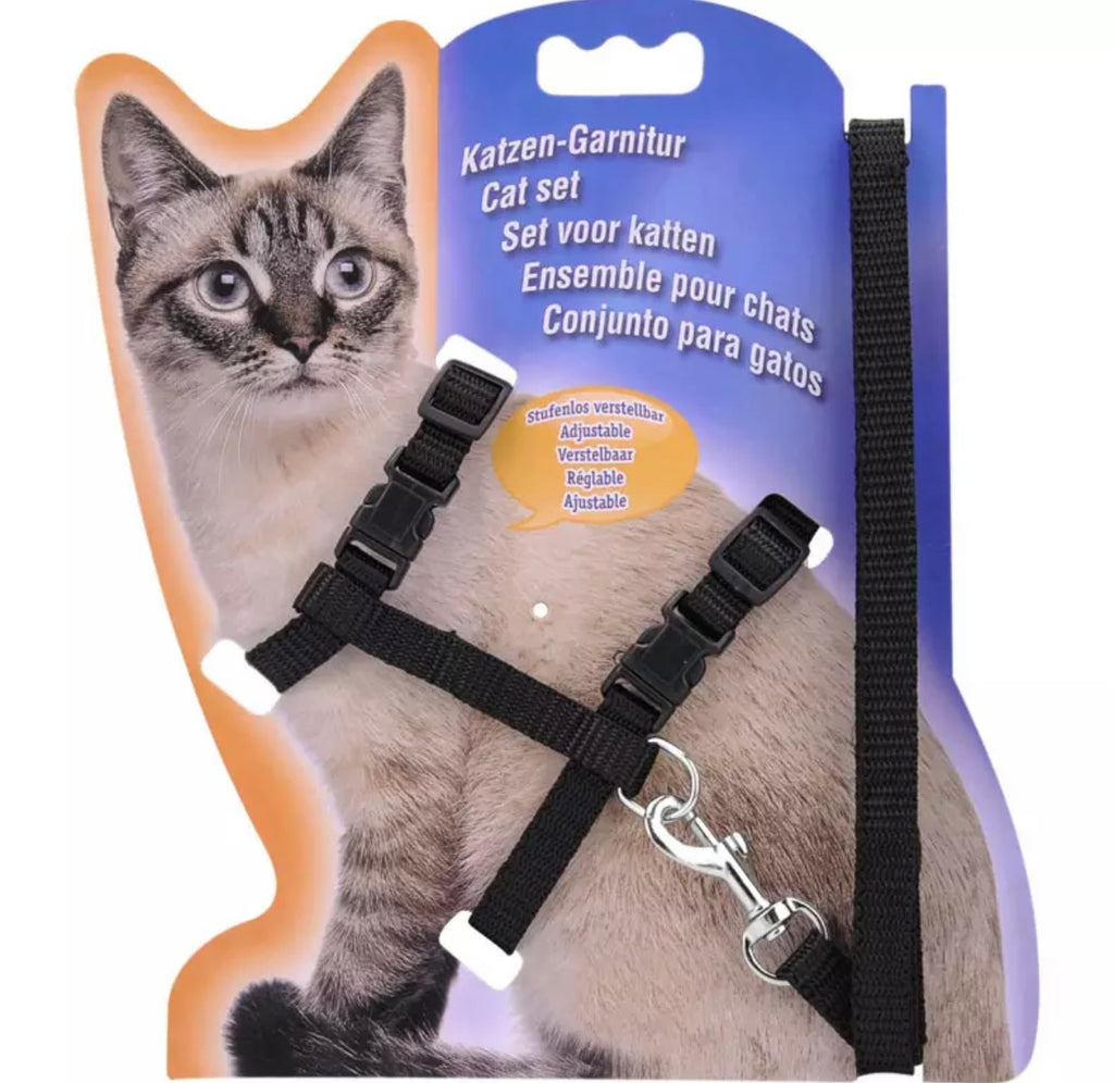 Arnés para gato Ajustable lo – MariaCe Posada Pets - Accesorios para gatos  y perros