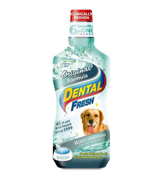 Mouthwash Dogs and Cats