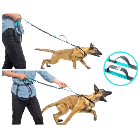Flexible hands-free leash