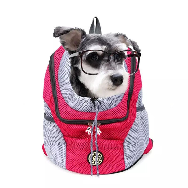 Backpack-type pet charger 