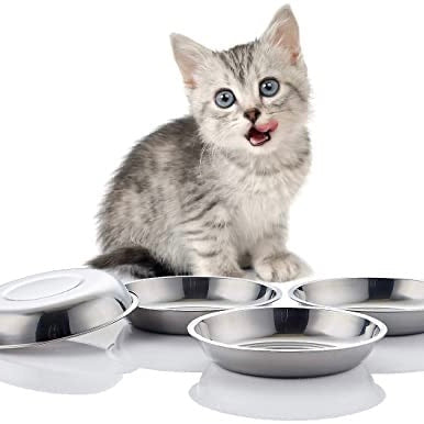 Steel cat feeder