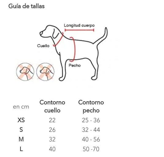 Pechera y correa Puppia