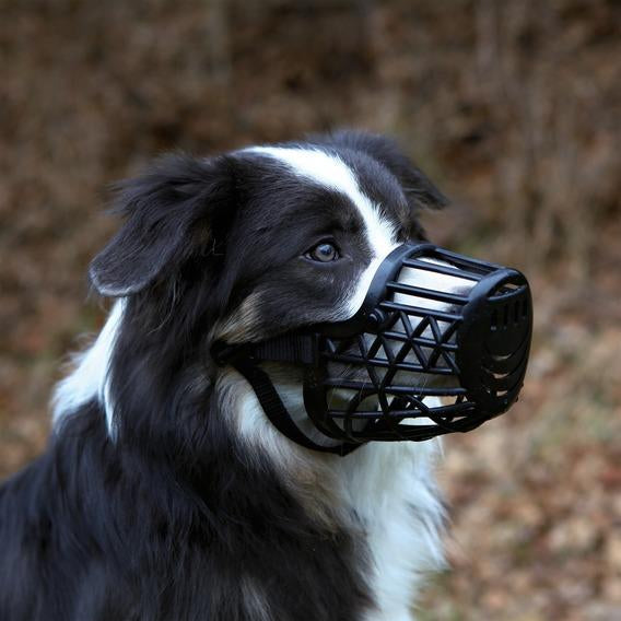 basket muzzle