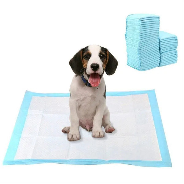 absorbent mat for dogs