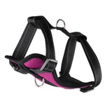 Fucsia