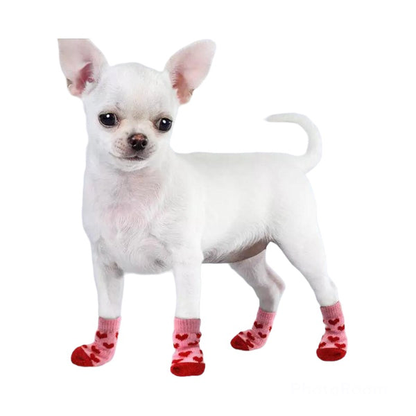Stockings for dogs and cats
