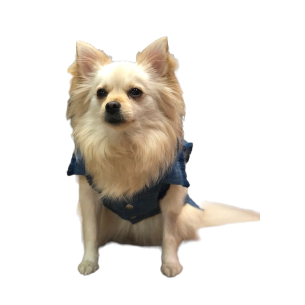 Chaleco Jean